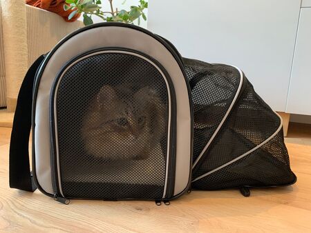 katten transportbox