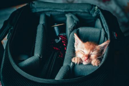 transportbox kat