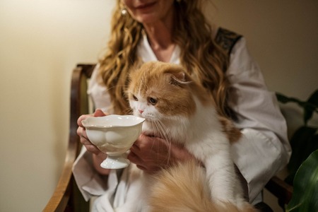 beste drinkfontein kat