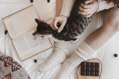 katten snacks