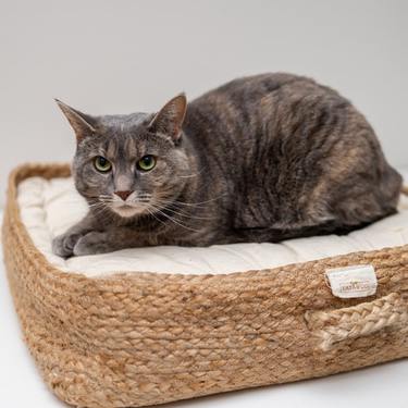 beste rieten kattenmand