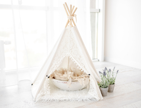 katten tipi