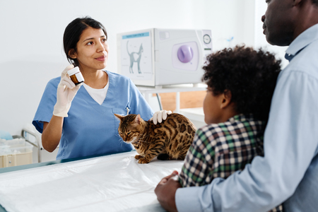 ontworming kitten