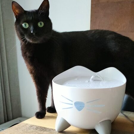 catit pixi drinkingfountain