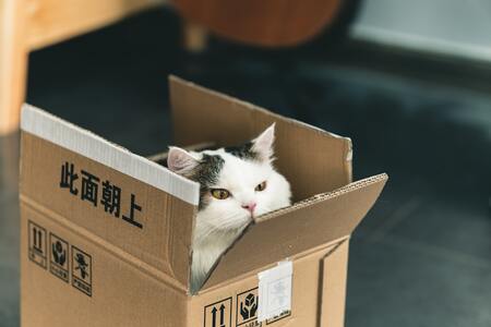 kattenbak zwart