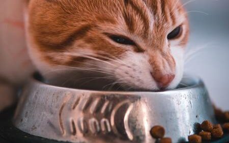 smolke hypoallergeen