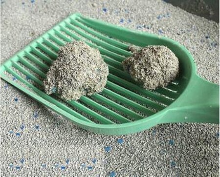 kattengrit met babypoeder