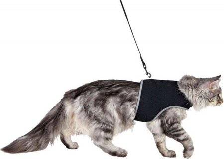 trixie kattentuig