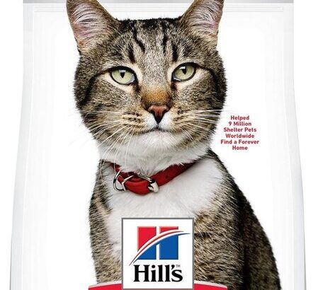 hills kattenvoer