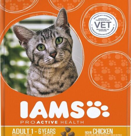iams kattenvoer