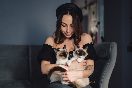 balinese kat