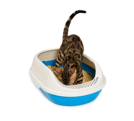 open kattenbak hoge rand