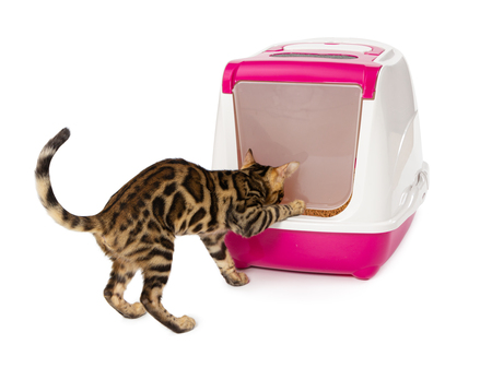 kattenbak petlux