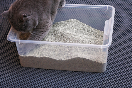 petlux kattenbak zelfreinigend