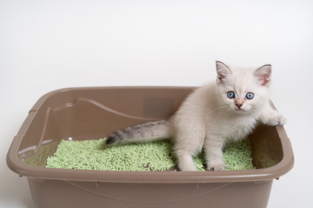 catit kattenbak