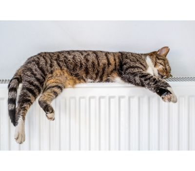 kattenmand verwarming