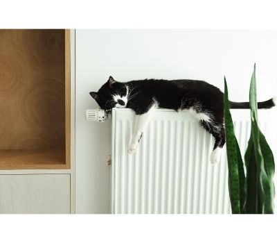 radiator hangmat kat
