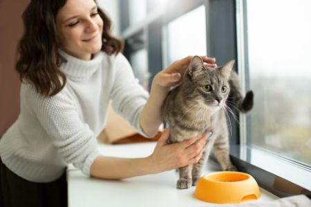 katten anti knoei drinkbak