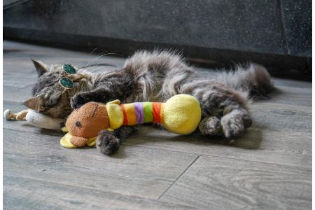 interactieve kat speelgoed