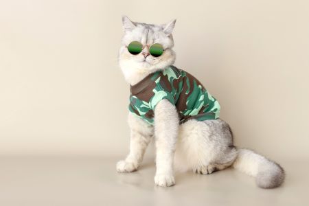 katten rompertje