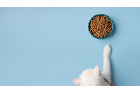 pettadore nutrifresh