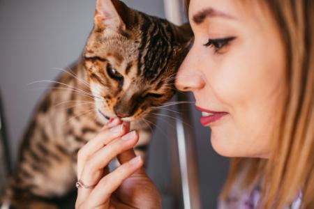 kitten likt mijn gezicht
