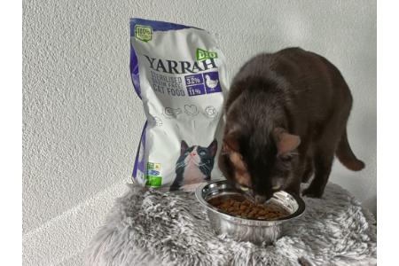 yarrah natvoer kat