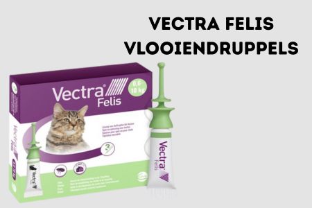 vectra felis review