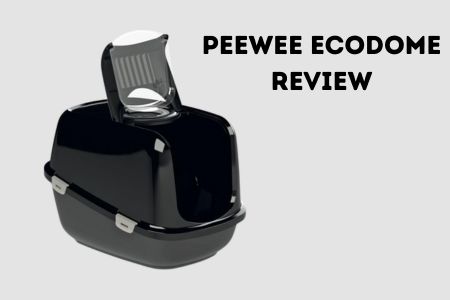 peewee ecodome review