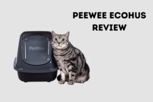 peewee ecohus review