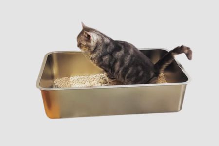 kattenbak roestvrijstaal