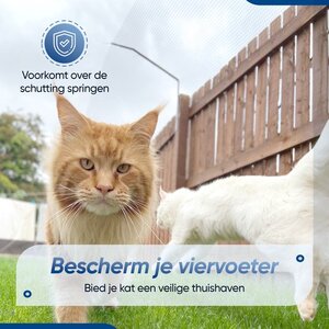 kattengaas schutting