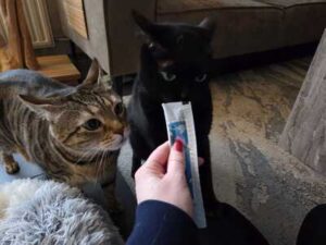 Tommie the Cat liquid kattensnack