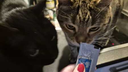 Tommie the Cat liquid kattensnack