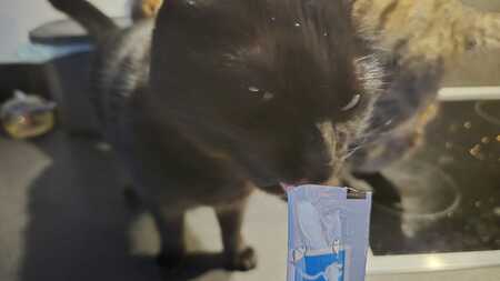 Tommie the Cat liquid kattensnack