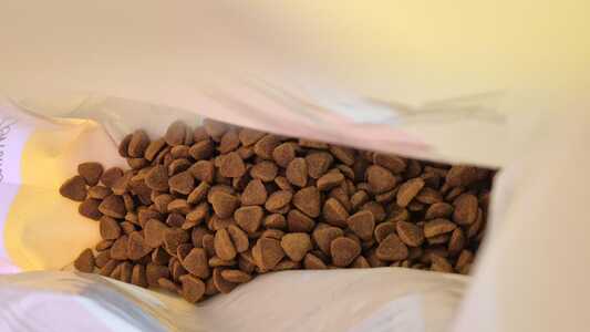 graanvrije kattenbrokken tommie the cat